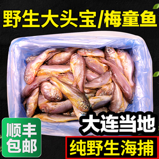 大头宝鱼梅童鱼大连本地冰鲜速冻大头宝鱼肉海鲜黄梅子花鱼2斤4斤