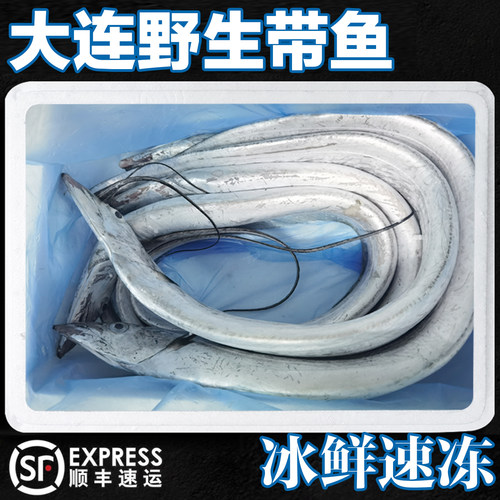 大连刀鱼渤海湾带鱼冰鲜速冻新鲜