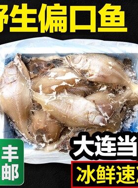 大连本地冰鲜速冻比目鱼偏口鱼