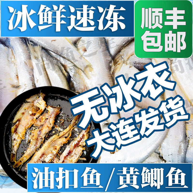 大连本地冰鲜速冻油扣鱼马口黄鲫图片