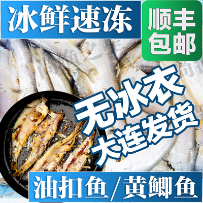 大连本地冰鲜速冻油扣鱼马口黄鲫