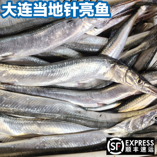 大连新鲜海捕针亮鱼针鱼绿骨鱼