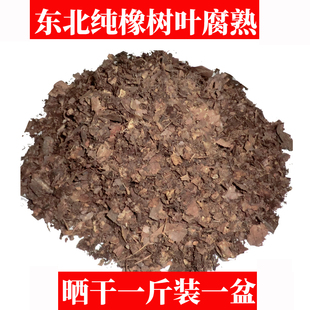 东北橡树叶腐熟君子兰专用橡树叶干腐叶土兰花杜鹃有机营养腐殖土