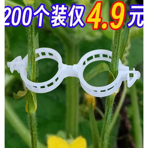 绑蔓固定夹扶蔓夹植物蔬菜瓜果藤蔓大棚固定卡扣支架秧苗固定神器