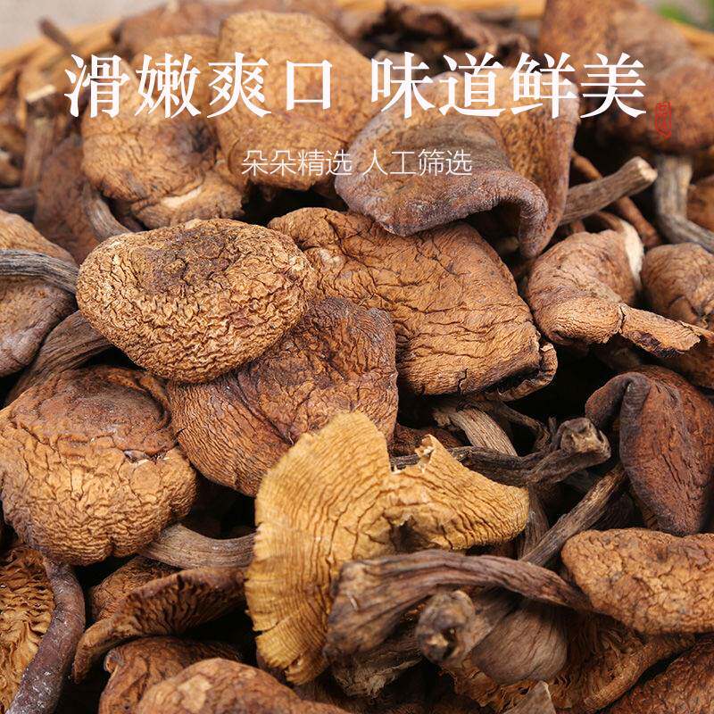 东北特产野生榛蘑丁干货500g农家小鸡炖蘑菇长白山干榛菇特级新鲜