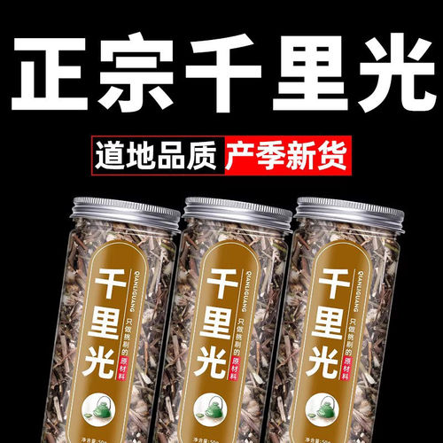 传统日晒千里光九里光草本干货枝叶完好干爽耐放多份囤购活动让利