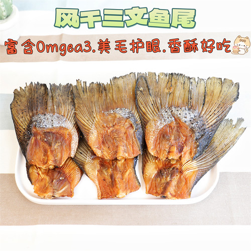 香酥三文鱼尾宠儿膳房安全中大狗