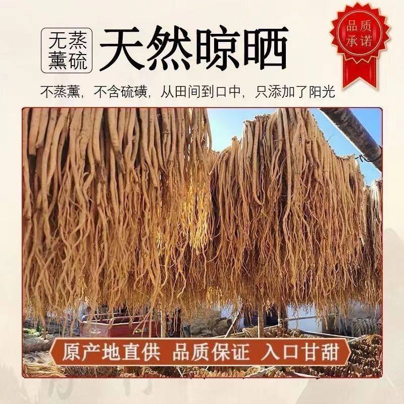 甘肃大条党参