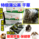 清热解毒去火防拉肚 2024新蒲公英干草兔兔草龙猫荷兰猪保健牧草