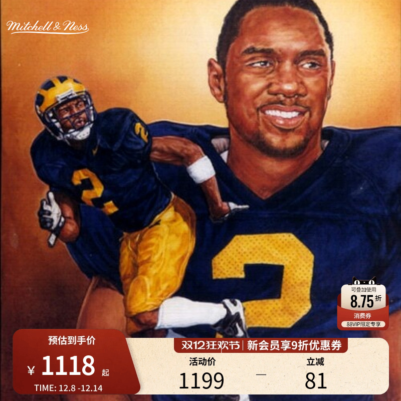 MN密西根大学伍德森2号球衣