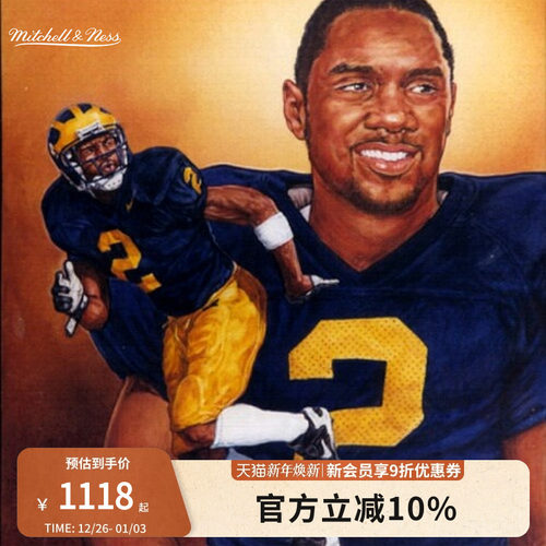 MN密西根大学伍德森2号球衣