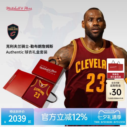 MN骑士队詹姆斯23号球衣球员版