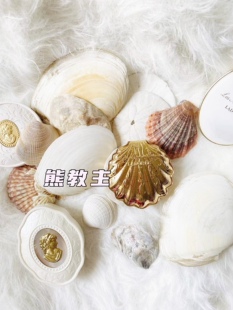 现货日本本土 LADUREE 拉杜丽2018限定金色贝壳蜜粉花瓣浮雕腮红