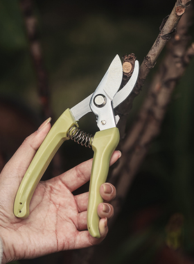 65号锰钢刀头修枝剪园艺修剪树枝剪刀剪花专用工具剪子高硬强力剪