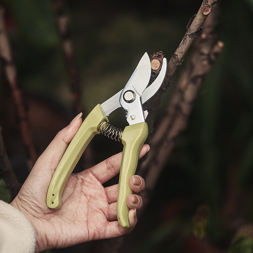 65号锰钢刀头修枝剪园艺