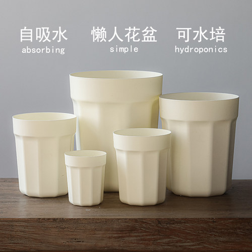 种植物很好种新手福音懒人花盆