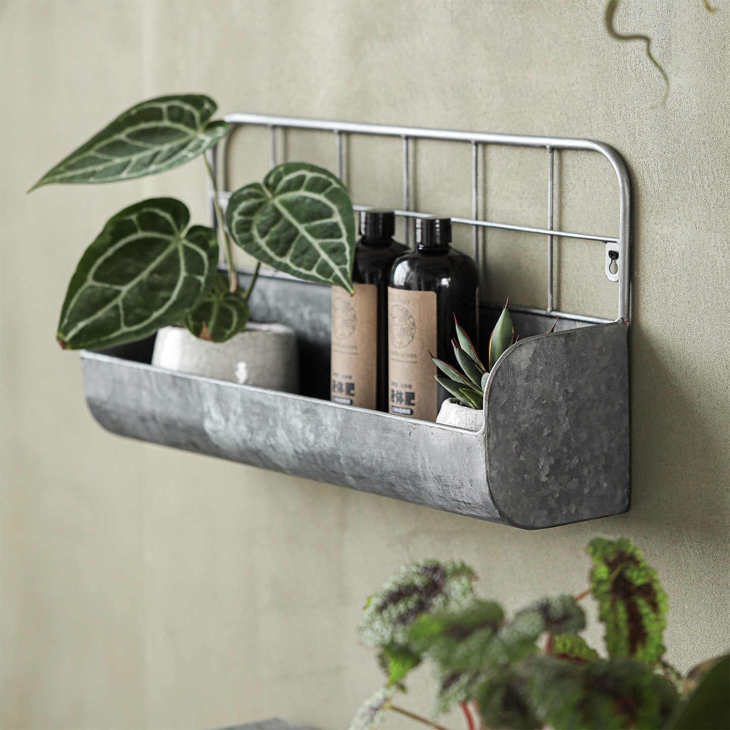 阿尔栌挂墙铁艺置物架复古做旧花架阳台户外庭院工具壁挂收纳架,鲜花速递/花卉仿真/绿植园艺,花架,淘宝优惠券,粉丝福利购,淘宝优惠卷