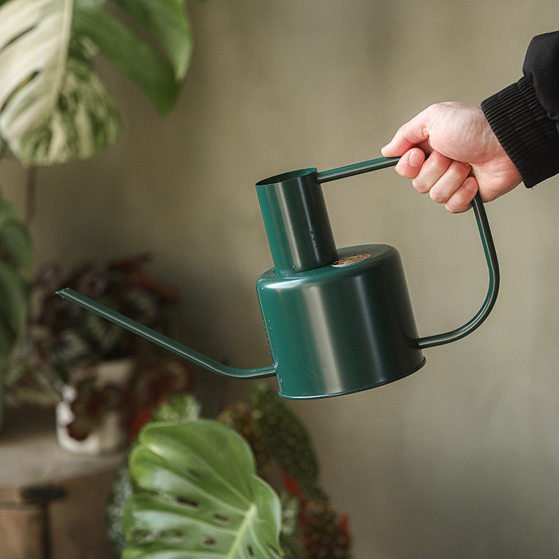 浇花壶复古绿色大号洒水壶长嘴花洒喷壶大容量浇菜神器绿植喷水壶,鲜花速递/花卉仿真/绿植园艺,洒水/浇水壶,淘宝优惠券,粉丝福利购,淘宝优惠卷