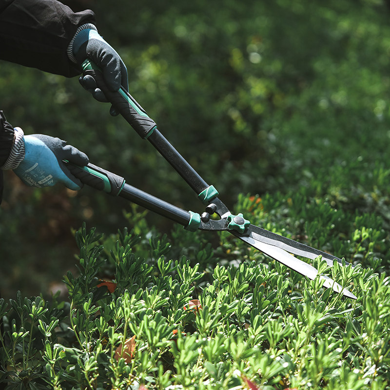 波浪口绿篱剪盆景修剪草坪工具长嘴园林大剪刀果树枝花园绿化修枝