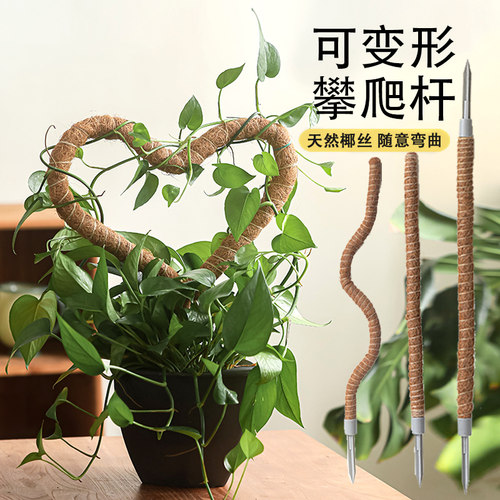 diy可变形龟背竹支撑杆攀爬杆