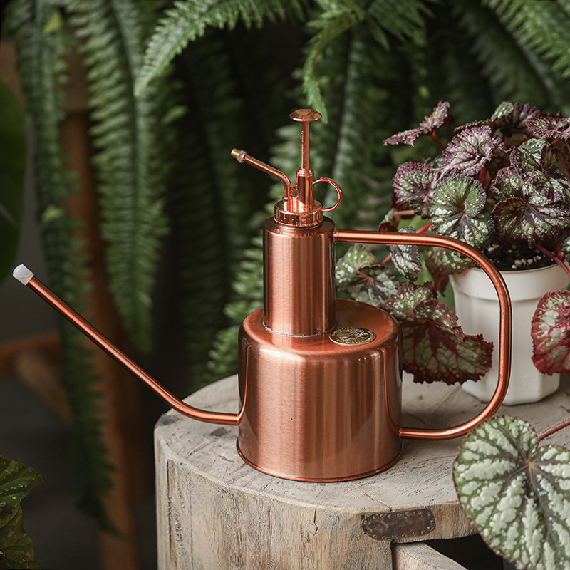 不锈钢大容量洒水壶长嘴家用高颜值按压式绿植盆栽浇水壶园艺神器,鲜花速递/花卉仿真/绿植园艺,洒水/浇水壶,淘宝优惠券,粉丝福利购,淘宝优惠卷