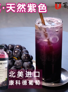 百崧食品紫提果汁浓浆1KG北美进口康科德葡萄0添加天然紫色68甜度