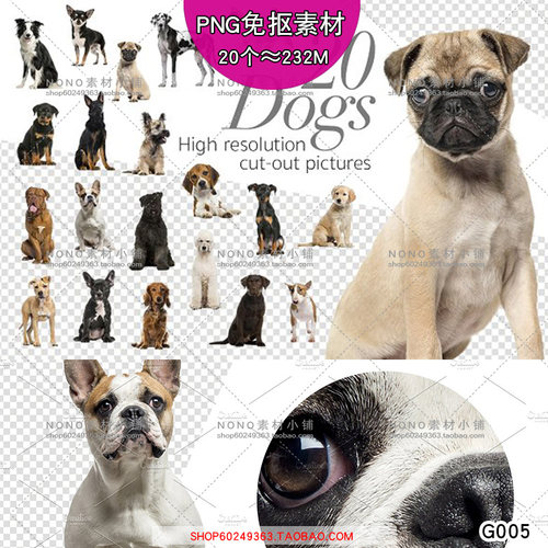 [G005]高清免抠图素材狗狗宠物犬摄影扣图素材设计用合集促销