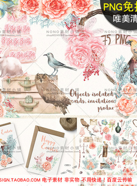 AA11水彩PNG免抠图清新花卉手绘植物猫头鹰花鸟唯美请柬合成素材