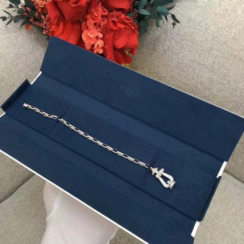 FRED/斐登白金infinie