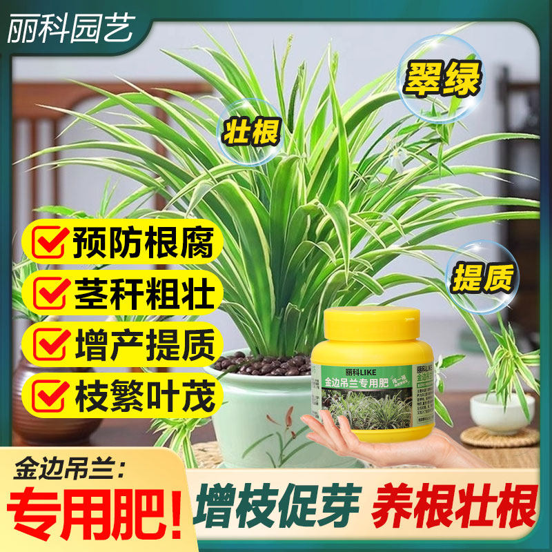 金边吊兰专用肥有机肥有机缓释肥