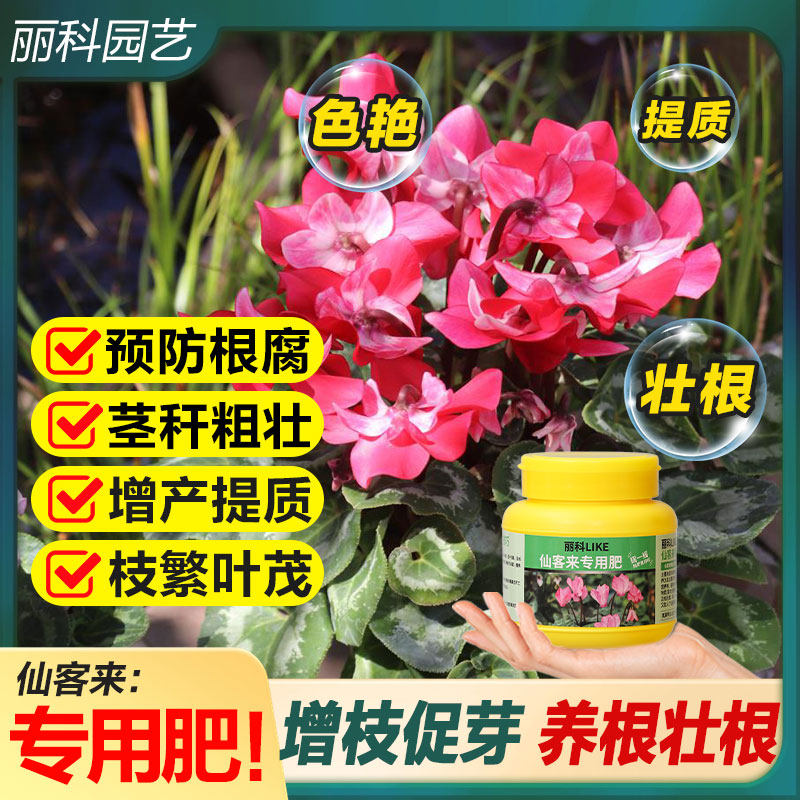仙客来专用肥复合肥花肥