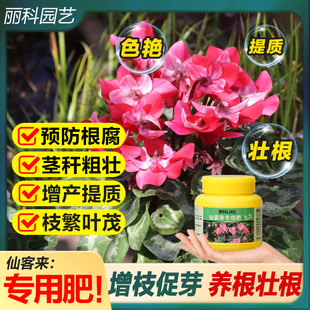 仙客来专用肥花肥家用通用型复合肥养花植物绿植肥料仙客来花肥