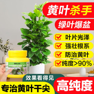 大叶绿萝专用肥有机花肥料盆栽植物通用家用花肥大叶绿萝专用肥料