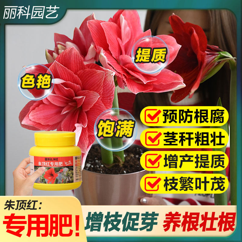 朱顶红肥料花肥家用盆栽通用养花植物有机颗粒缓释肥朱顶红专用肥,鲜花速递/花卉仿真/绿植园艺,家庭园艺肥料,淘宝优惠券,粉丝福利购,淘宝优惠卷