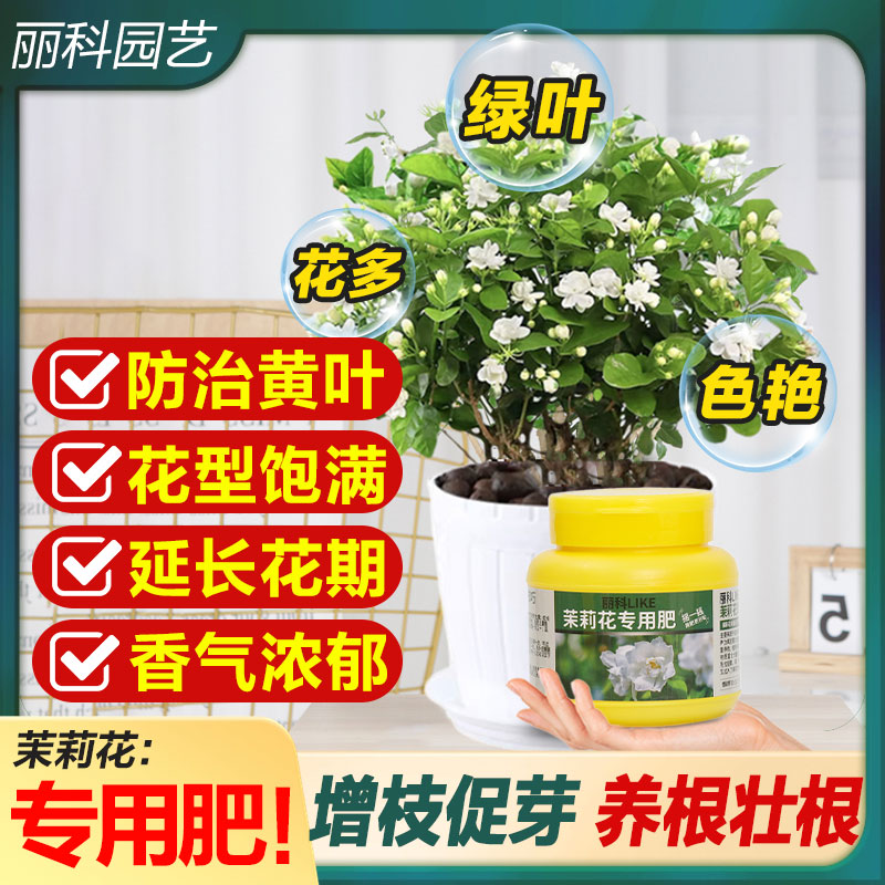 茉莉花肥料专用肥花肥硫酸亚铁花肥料缓释肥颗粒通用型茉莉花肥料