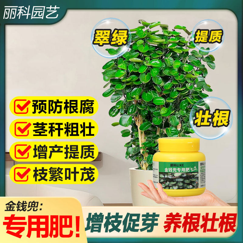 金钱兜专用肥复合肥花肥料