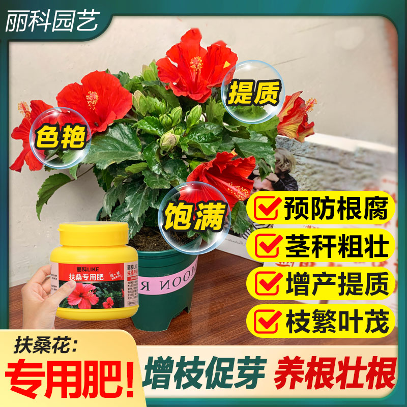 扶桑花专用肥颗粒有机缓释肥花肥