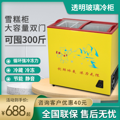 冰熊冷冻展示柜雪糕柜超市冷冻柜