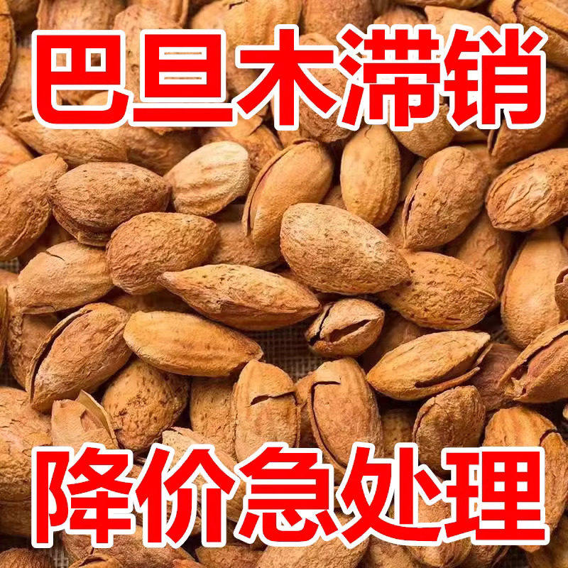 【天天特价】新疆特产纸皮巴旦木1000g零食坚果盐焗非奶香和原味