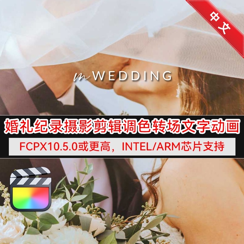 婚礼摄影MV视频调色转场文字排版