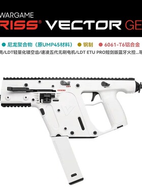 LDT KRISS VECTOR GEN2 短剑 维克托儿童玩具套件