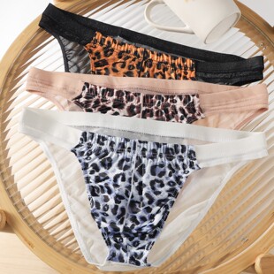 2条装男士豹纹三角内裤男款低腰性感网纱透明U凸薄款提臀男生短裤