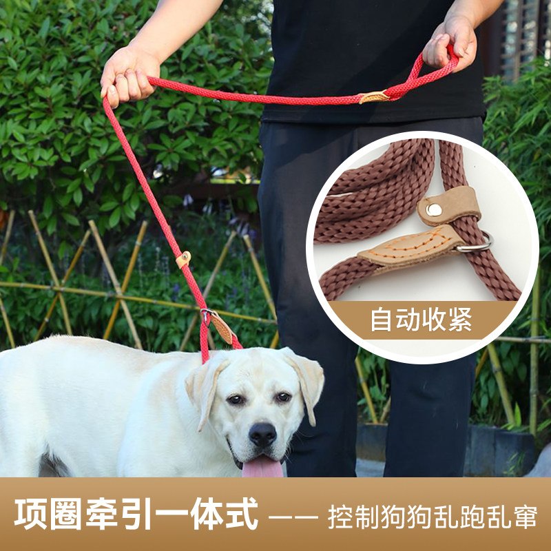 项圈牵引一体式狗牵引绳自动训练防爆冲收紧控制狗乱跑乱窜编织绳