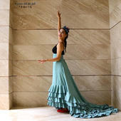 制定Flamengo弗拉门戈长尾裙bata裙演出服品牌DTT26