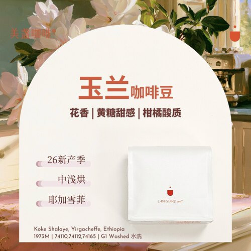 美盏玉兰咖啡豆26产季·耶加雪菲
