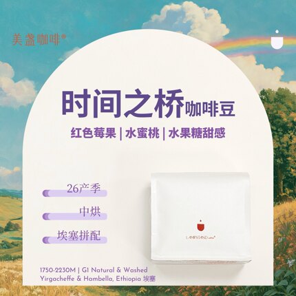 意外之旅时间之桥咖啡豆·2026新产季中浅烘手冲埃塞阿拉比卡美盏