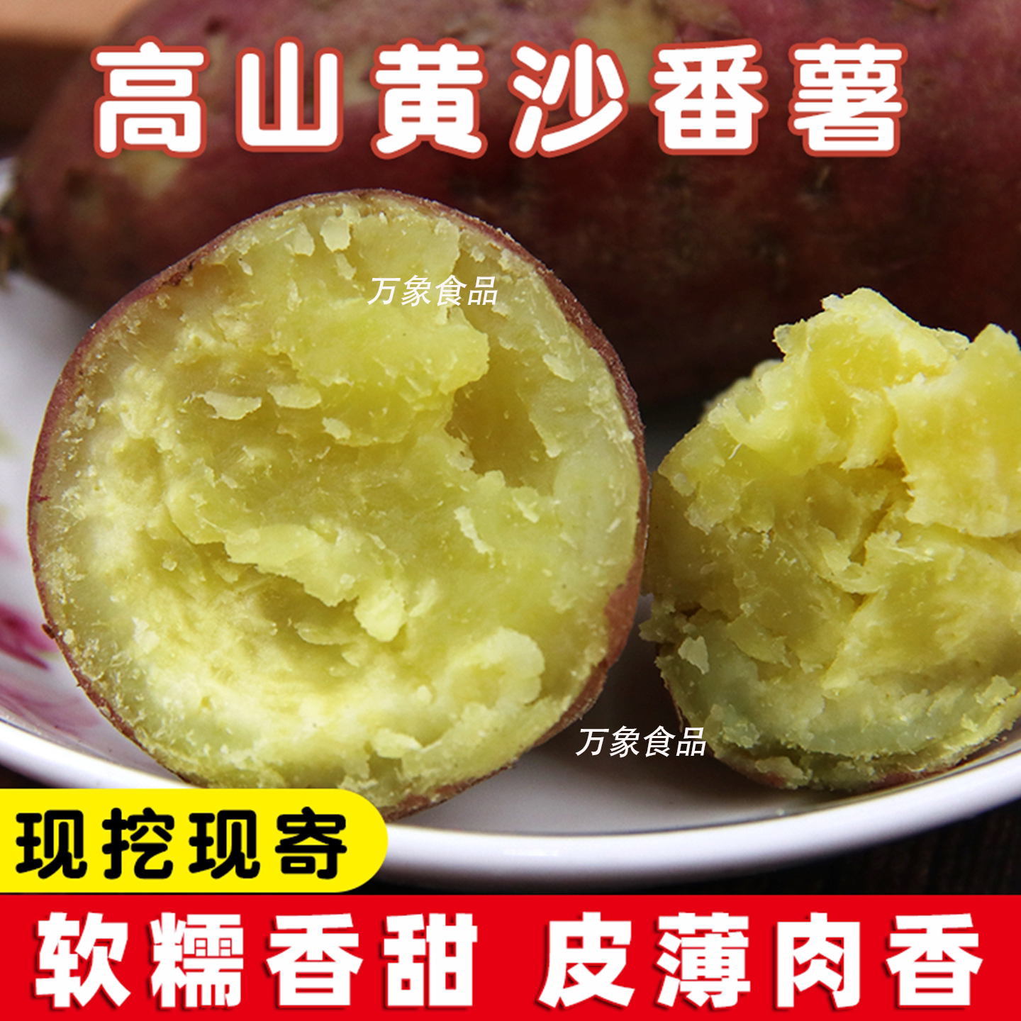 【黄沙番薯】广东高州市古丁板栗番薯