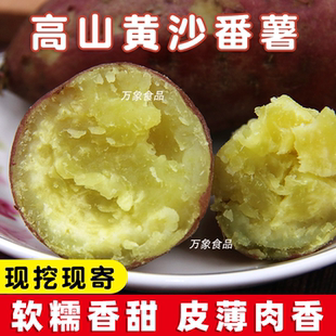 【黄沙番薯】广东高州市古丁板栗红薯粉软糯香甜地瓜新鲜农家自种