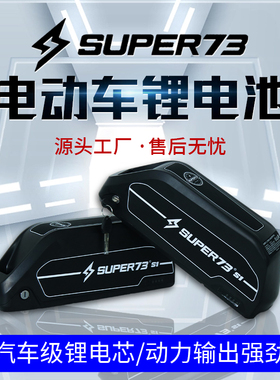 super73鹦鹉盒劲彭锂电池电动车电瓶助力越野代步车复古佳能48伏v