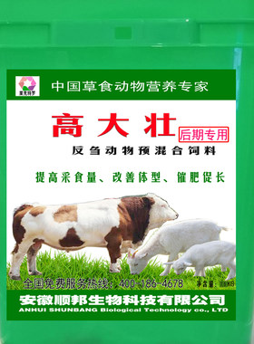高大壮前期牛羊拉骨架提高瘦肉率
